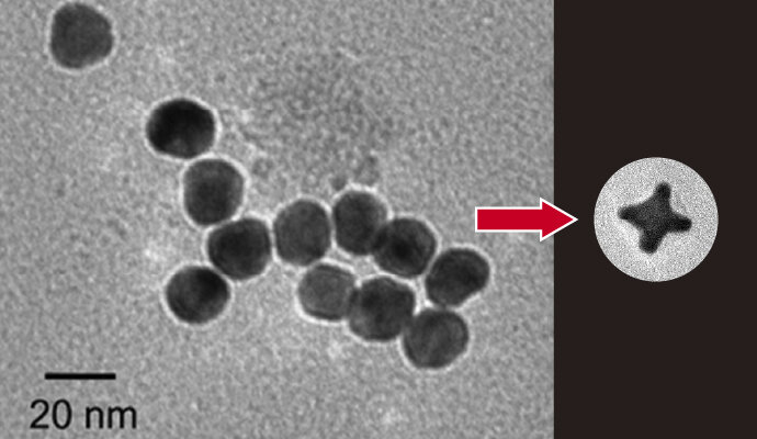 球形の金ナノ粒子（左）をもとに設計した異方形状金ナノ粒子（右）。光を照射すると、尖った部分やくびれた部分に光が集まり、非常に強い電場が生じます。